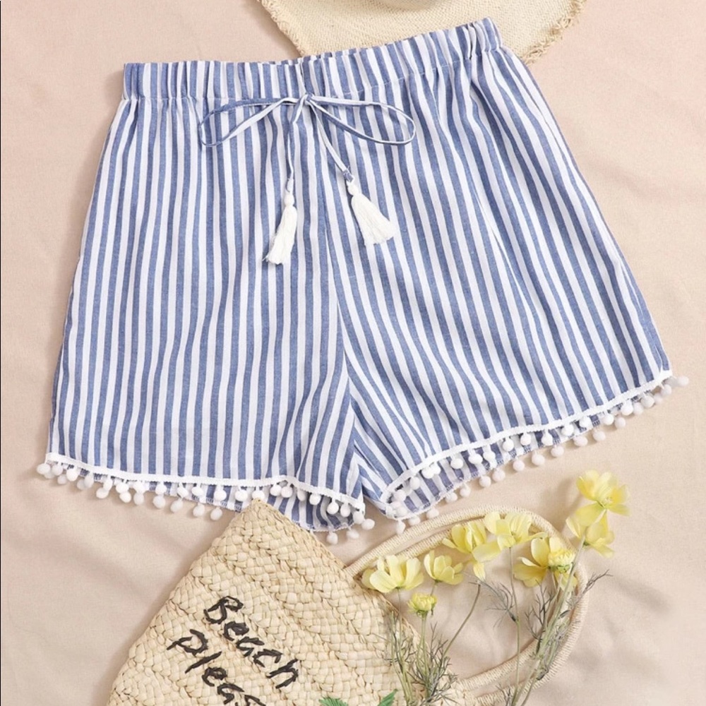 Shein Shorts Size 2XL